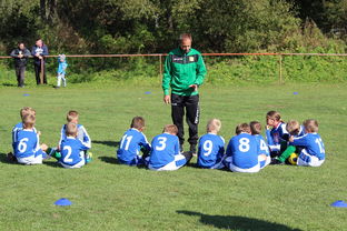 乐鱼电竞-中国篮球教练员战术创新与应用能力提升路径探索，全国篮球教练员岗位培训