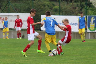 乐鱼体育(中国)官方网站-中国足球主客场制度优化，竞赛公平性提升，中国足球队主场