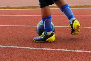 Leyu Sport登录入口-专注体育场馆建设新闻内容传播的平台，专业体育场馆