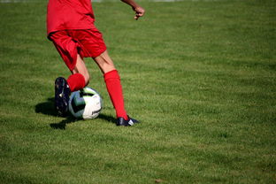 乐鱼电竞· (中国)官方网站-中国足球是否应该建立球员行为规范体系，中国足球规划球员政策